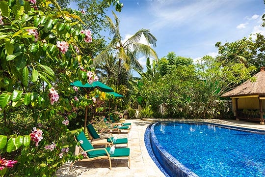 Tropical garden surrounds the pool